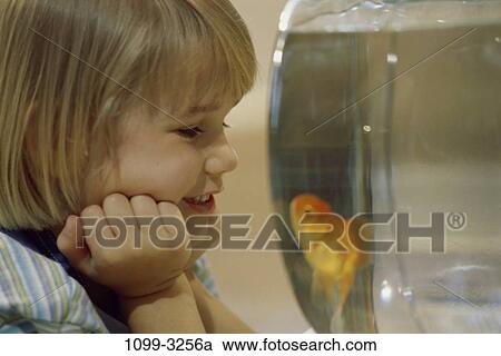 fish, people, water, smiling, profile, goldfish, bowl View Large Photo Image Stock Image - fish, people, water, smiling, profile, goldfish, bowl. Fotosearch