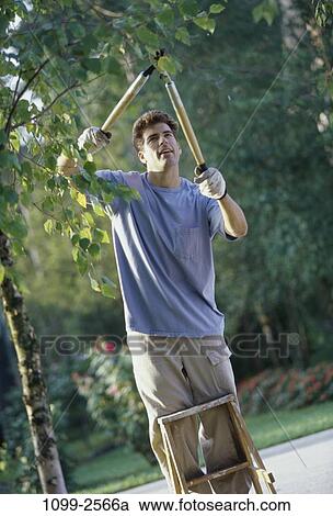 Stock Image - gardening, hobby, Gardening various. Fotosearch