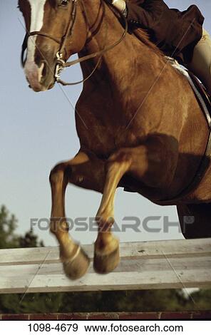Stock Photo - jump, jumping, horse, equestrian, sports, animal. Fotosearch