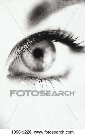 people, eye, woman, staring, iris, looking, stare View Large Photo Image Stock Photograph - people, eye, woman, staring, iris, looking, stare. Fotosearch