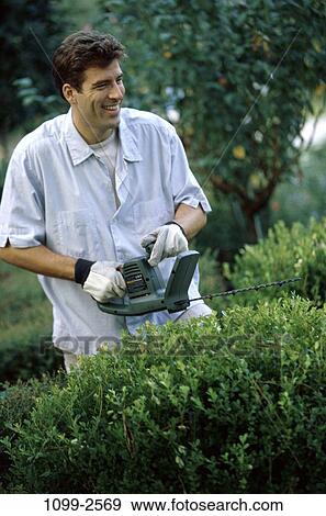 people, gardening, outdoors, Middle-aged, brunette, Caucasian View Large Photo Image Stock Photo - people, gardening, outdoors, Middle-aged, brunette, Caucasian. Fotosearch