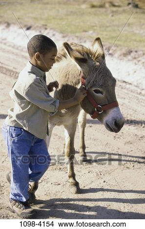 people, pet, boy, outdoors, child, brunette, animal View Large Photo Image Picture - people, pet, boy, outdoors, child, brunette, animal. Fotosearch