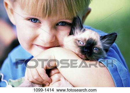 people, Siamese, kitten, cat, pet, boy View Large Photo Image Picture - people, Siamese, kitten, cat, pet, boy. Fotosearch