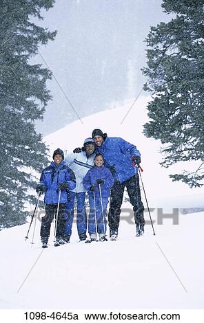 people, snow, skiing, winter, pine, trees, outdoors View Large Photo Image Stock Image - people, snow, skiing, winter, pine, trees, outdoors. Fotosearch