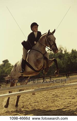 people, woman, jump, jumping, riding, horse, equestrian View Large Photo Image Stock Image - people, woman, jump, jumping, riding, horse, equestrian. Fotosearch