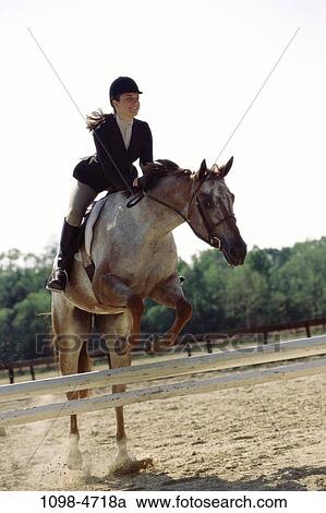 people, woman, jump, jumping, riding, horse, equestrian View Large Photo Image Stock Image - people, woman, jump, jumping, riding, horse, equestrian. Fotosearch