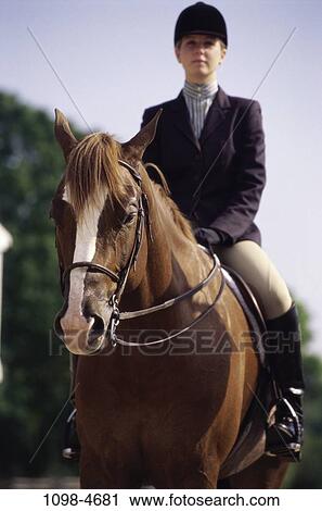 people, woman, riding, horse, equestrian, outdoors, rider View Large Photo Image Stock Image - people, woman, riding, horse, equestrian, outdoors, rider. Fotosearch