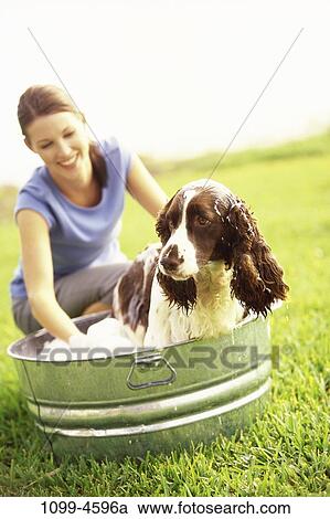 people, woman, smiling, dog, pet, cleaning, outdoors View Large Photo Image Stock Image - people, woman, smiling, dog, pet, cleaning, outdoors. Fotosearch