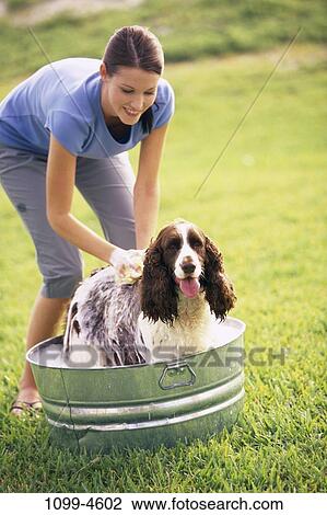 people, woman, smiling, dog, pet, cleaning, outdoors View Large Photo Image Stock Image - people, woman, smiling, dog, pet, cleaning, outdoors. Fotosearch