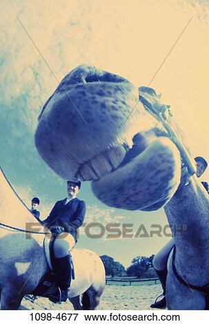 sky, people, animals, teeth, riding, mouth, horse View Large Photo Image Stock Photo - sky, people, animals, teeth, riding, mouth, horse. Fotosearch