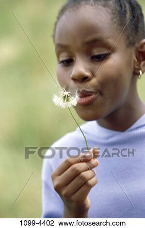 weed, people, stem, holding, girl, flower, dandelion View Large Photo Image Stock Image - weed, people, stem, holding, girl, flower, dandelion. Fotosearch