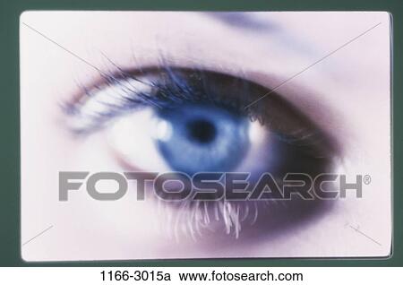 eye, staring, iris, looking, stare, eyelashes, look View Large Photo Image Stock Image - eye, staring, iris, looking, stare, eyelashes, look. Fotosearch