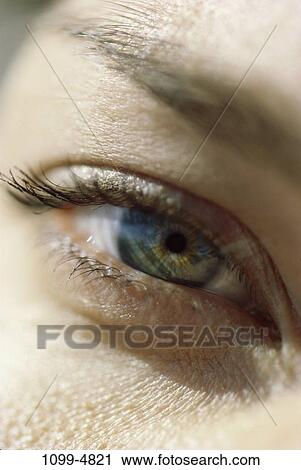 eye, woman, skin, pupil, eyebrow, eyelash, Body parts eyes View Large Photo Image Stock Image - eye, woman, skin, pupil, eyebrow, eyelash, Body parts eyes. Fotosearch
