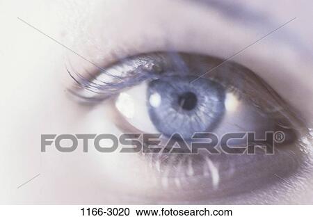 eye, woman, staring, blue, body parts, stare View Large Photo Image Stock Image - eye, woman, staring, blue, body parts, stare. Fotosearch