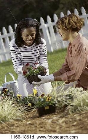 gardening, hobby, Gardening various View Large Photo Image Stock Image - gardening, hobby, Gardening various. Fotosearch