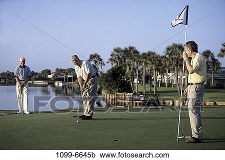 group, men, water, playing, golf, concentration, palm trees View Large Photo Image Stock Image - group, men, water, playing, golf, concentration, palm trees. Fotosearch