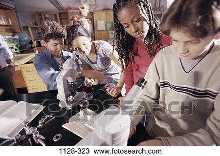 group, multiethnic, people, school, testing, cooperation, education View Large Photo Image Stock Image - group, multiethnic, people, school, testing, cooperation, education. Fotosearch