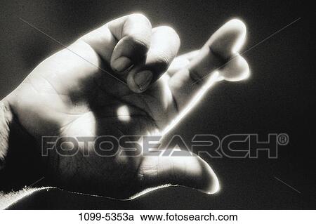 Stock Image - hand, crossing, hoping, gesturing, crossed, fingers, black and white. Fotosearch