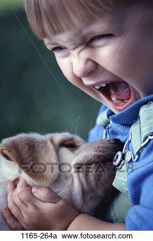 people, dog, sleeping, puppy, pet, holding, boy View Large Photo Image Stock Image - people, dog, sleeping, puppy, pet, holding, boy. Fotosearch