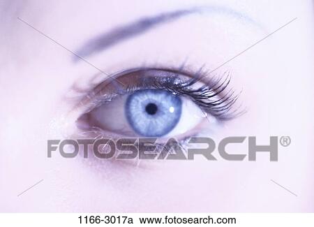 people, eye, woman, staring, iris, Middle-aged, looking View Large Photo Image Stock Image - people, eye, woman, staring, iris, Middle-aged, looking. Fotosearch