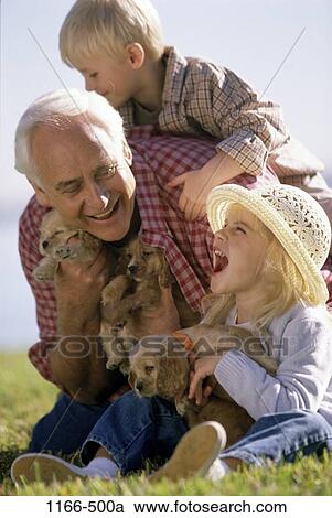 people, playing, hat, puppies, pets, laughing, outdoors View Large Photo Image Stock Image - people, playing, hat, puppies, pets, laughing, outdoors. Fotosearch