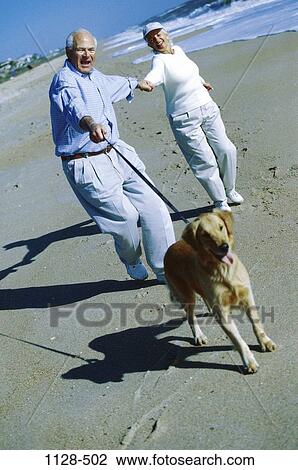 people, walking, dog, couple, senior, pet, beach View Large Photo Image Stock Image - people, walking, dog, couple, senior, pet, beach. Fotosearch