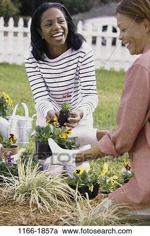 plant, fence, women, people, plants, mother, laughing View Large Photo Image Stock Image - plant, fence, women, people, plants, mother, laughing. Fotosearch