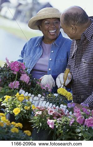 plant, people, smiling, couple, senior, flowers, gardening View Large Photo Image Stock Image - plant, people, smiling, couple, senior, flowers, gardening. Fotosearch