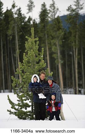 tree, people, snow, winter, pine, outdoors, weather View Large Photo Image Stock Image - tree, people, snow, winter, pine, outdoors, weather. Fotosearch