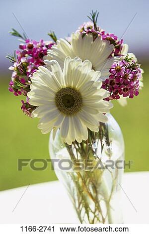 water, flowers, floral, arrangement, vase, flower arrangement, pretty View Large Photo Image Stock Image - water, flowers, floral, arrangement, vase, flower arrangement, pretty. Fotosearch