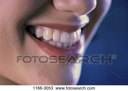 woman, smiling, nose, face, teeth, happy, coloring View Large Photo Image Stock Image - woman, smiling, nose, face, teeth, happy, coloring. Fotosearch