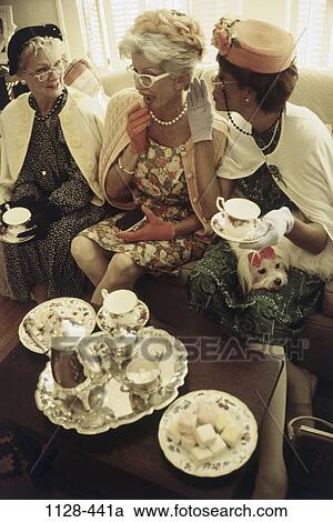women, people, party, dog, talking, eyeglasses, hats View Large Photo Image Stock Image - women, people, party, dog, talking, eyeglasses, hats. Fotosearch