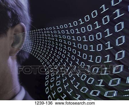 binary, information, technology, stream, ear, business View Large Photo Image Stock Photograph - binary, information, technology, stream, ear, business. Fotosearch
