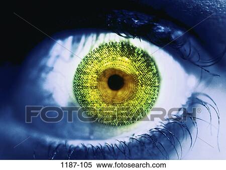 eyes, challenges, metaphors, violence, risk, curious, adventurous View Large Photo Image Stock Photography - eyes, challenges, metaphors, violence, risk, curious, adventurous. Fotosearch