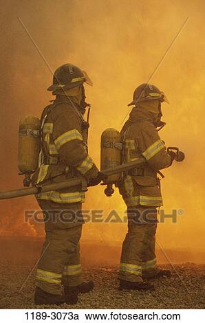 fire, teamwork, hose, fireman, occupation, service View Large Photo Image Stock Image - fire, teamwork, hose, fireman, occupation, service. Fotosearch