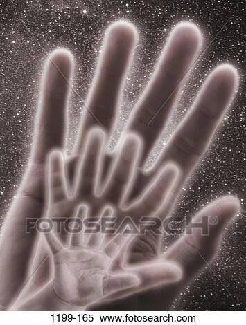 Stock Photography - hands, contrast, body parts, palms, growth, composite. Fotosearch