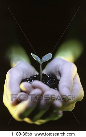 hands, gardening, body parts, soil, hobby, Hands soil View Large Photo Image Stock Image - hands, gardening, body parts, soil, hobby, Hands soil. Fotosearch