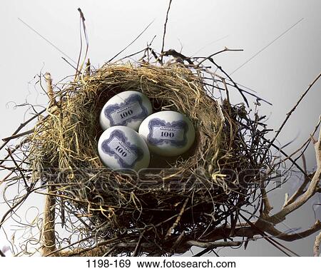 nest, beginnings, finance, stock market, banking, fragile, eggs View Large Photo Image Stock Photo - nest, beginnings, finance, stock market, banking, fragile, eggs. Fotosearch