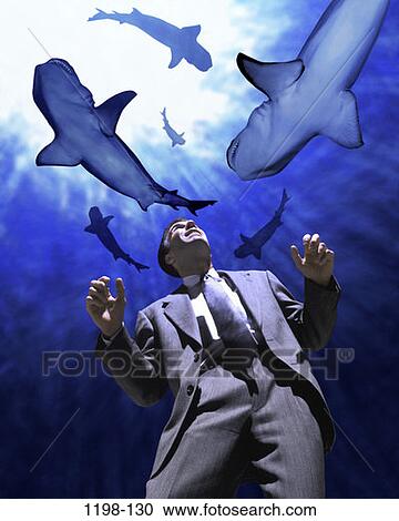 overhead, sharks, circling, swimming, fear, business View Large Photo Image Stock Image - overhead, sharks, circling, swimming, fear, business. Fotosearch
