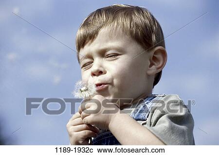Stock Image - people, concentration, holding, concentrating, boy, dandelion. Fotosearch