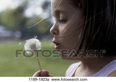people, profile, holding, girl, flower, dandelion View Large Photo Image Stock Image - people, profile, holding, girl, flower, dandelion. Fotosearch