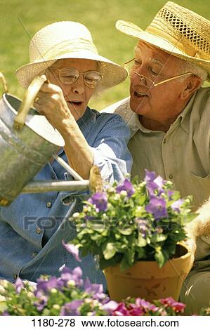 people, water, couple, eyeglasses, hats, senior, flowers View Large Photo Image Stock Photo - people, water, couple, eyeglasses, hats, senior, flowers. Fotosearch