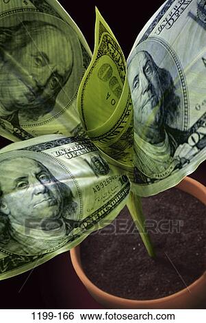 plant, money, finance, still life, pot, metaphor, growing View Large Photo Image Stock Photograph - plant, money, finance, still life, pot, metaphor, growing. Fotosearch