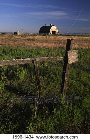 Barn in a field, Asotin County Wing Shooters, Asotin County, Washington State, USA View Large Photo Image Picture - Barn in a field, Asotin County Wing Shooters, Asotin County, Washington State, USA. Fotosearch