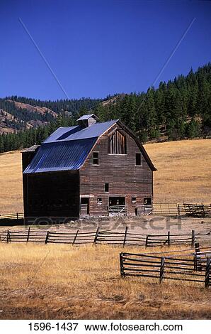 Barn in a field, Kittitas County, Washington State, USA View Large Photo Image Stock Photo - Barn in a field, Kittitas County, Washington State, USA. Fotosearch