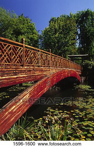 Bridge over a lake, Japanese Garden, Lake Sacajawea Park, Longview, Washington State, USA View Large Photo Image Stock Image - Bridge over a lake, Japanese Garden, Lake Sacajawea Park, Longview, Washington State, USA. Fotosearch