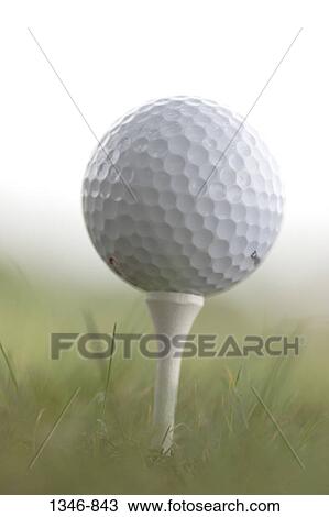 Close-up of a golf ball on a tee View Large Photo Image Stock Image - Close-up of a golf ball on a tee. Fotosearch