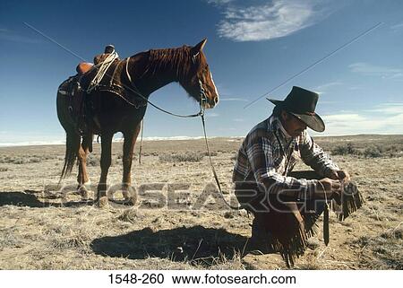 Cowboy checking the soil, Wyoming, USA View Large Photo Image Stock Image - Cowboy checking the soil, Wyoming, USA. Fotosearch