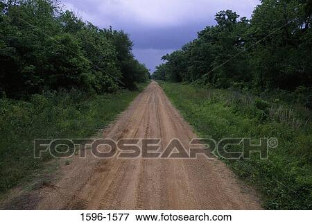 Stock Photo - Dirt road passing through a landscape, Dewey W Wills State Wildlife Management Area, Louisiana, USA. Fotosearch