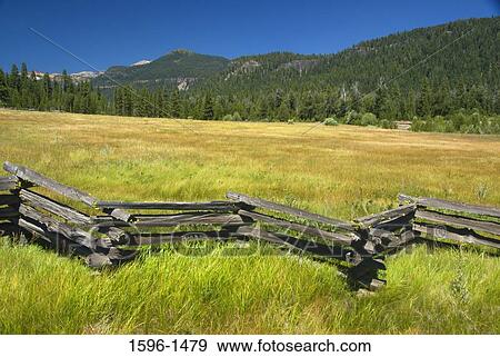 Fence in a field, Childs Meadow, Lassen National Forest, California, USA View Large Photo Image Stock Photo - Fence in a field, Childs Meadow, Lassen National Forest, California, USA. Fotosearch